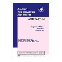 Asuhan Keperawatan Maternitas Antepartum: diagnosis NANDA-I, hasil NOC, tindakan NIC