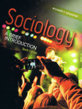 Sociology: a brief introduction