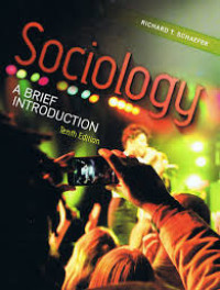 Sociology: a brief introduction