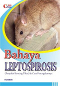 Bahaya Leptospirosis (Penyakit Kencing Tikus) dan Cara Pencegahannya
